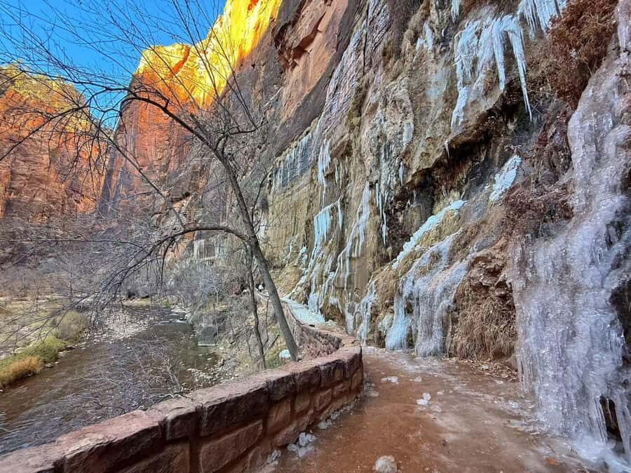 Las Vegas: Zion National Park Group Tour with Lunch - Key highlights to know before you go