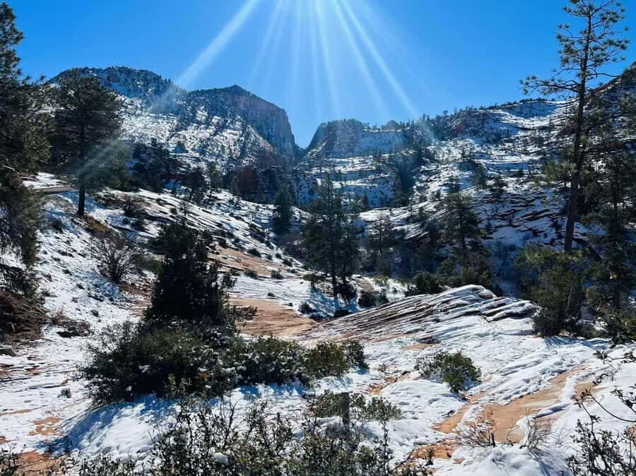 Las Vegas: Zion National Park Group Tour with Lunch - Zion Visitor Center: practical stops that make your hikes better