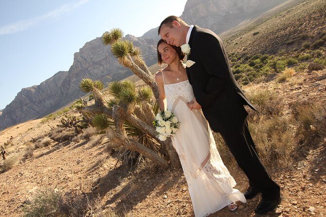 Red Rock Canyon Wedding by Private Limousine - Who this fits best—and who should think twice