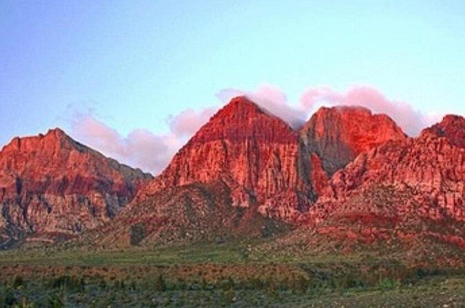 Redrock Hikes Come See Our South West Historic Beauty - Wildlife spotting: burros, horses, and sheep without the chaos