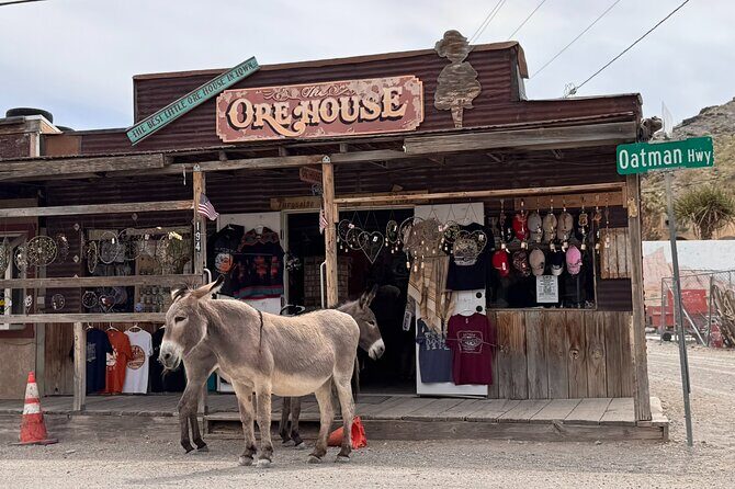 Route 66, Oatman, Nelson Ghost Town SmallGroup Tour from LasVegas - The 7:00am start: why the timing works
