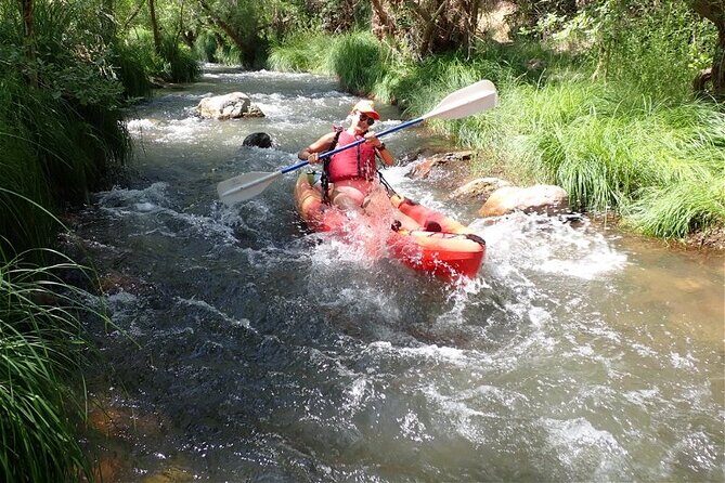 Scenic Guided Kayak Trip - Small Details That Make Your Day Smoother
