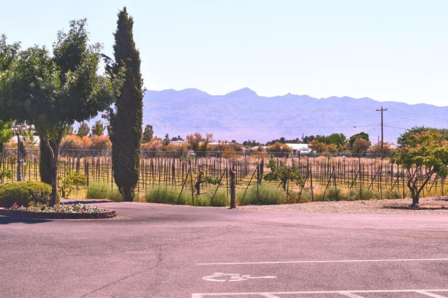 Scenic Las Vegas / Pahrump Wine Tasting Tour and Food - Key highlights you’ll actually feel