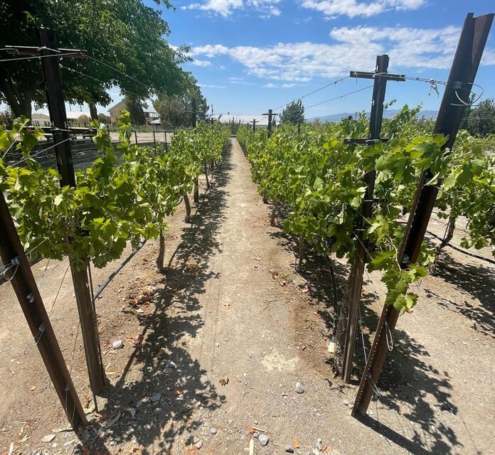 Scenic Las Vegas / Pahrump Wine Tasting Tour and Food - Timing and comfort: a 5-hour day that stays on track