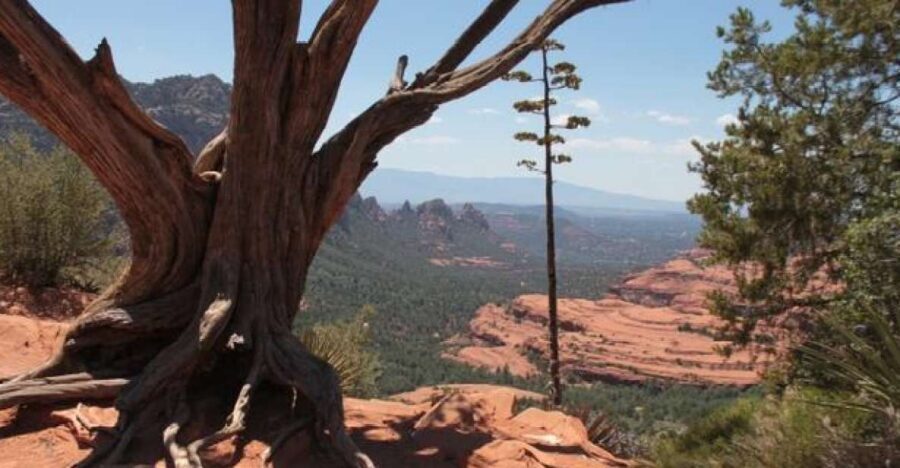 Sedona: PRIVATE 2-Hour Colorado Plateau Scenic Jeep Tour - Key takeaways before you go