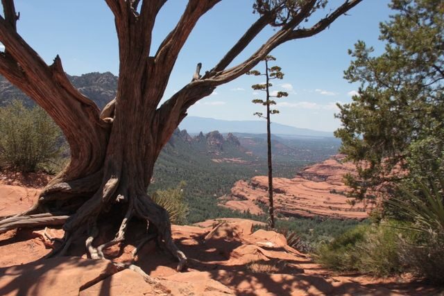 Sedona: PRIVATE 2-Hour Colorado Plateau Scenic Jeep Tour - Timing: morning light, and how winter can change the route