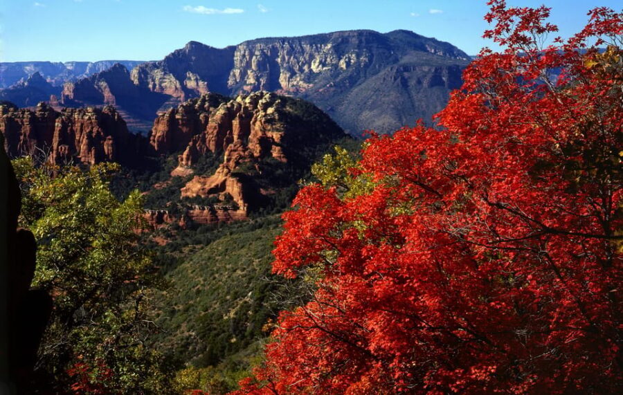 Sedona: PRIVATE Pavement 2-Hour Highlights Jeep Tour - Value check: is $149 per person worth it?