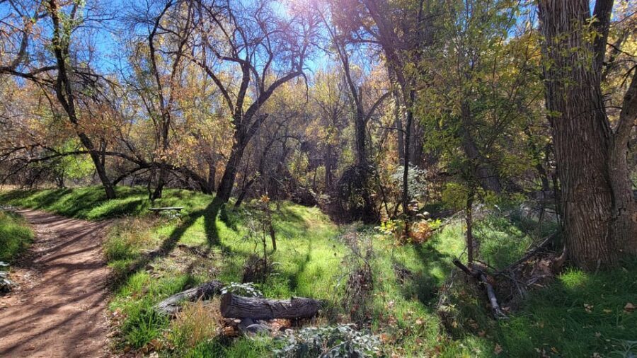 Sedona: The Scientific and Spiritual Vortex Tour - Should You Book the Sedona Scientific and Spiritual Vortex Tour?