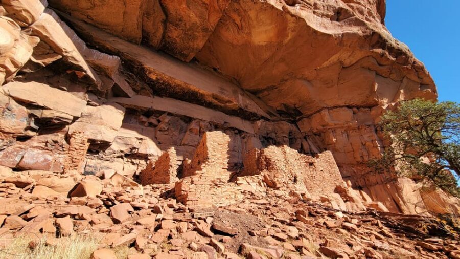 Sedona: The Scientific and Spiritual Vortex Tour - What a 3-Hour Walk-and-Talk Really Means on the Ground