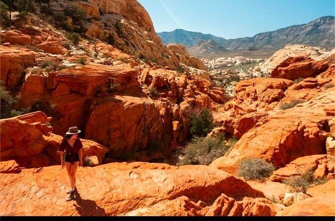 Shared Tour in Red Rock Canyon - Pickup at MGM Grand: The Part You’ll Be Happiest You Don’t Have to Plan