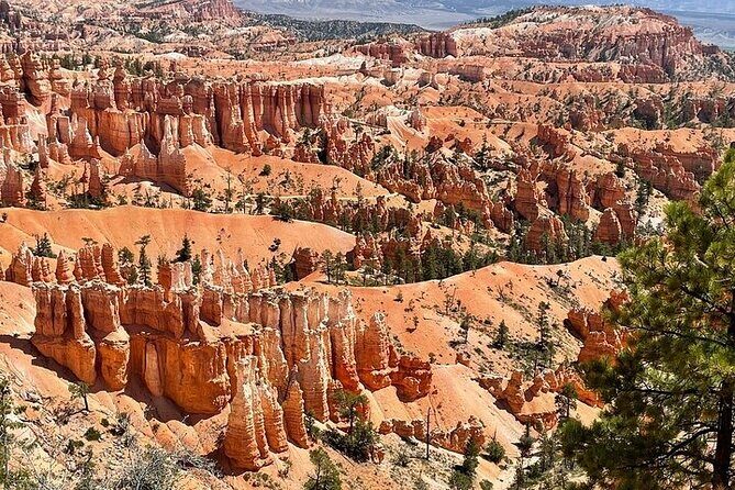 Small Group Day Tour To Explore Bryce Canyon & Zion National Park - Rainbow Point: an easy loop that’s worth your time