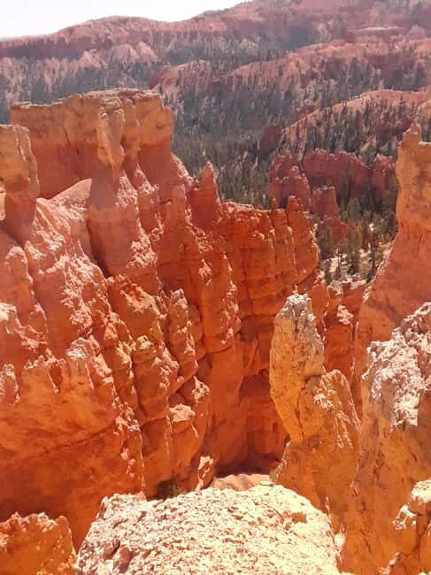 Small Group Tour Zion & Bryce Canyon National from Las Vegas - Key Points I’d Put on Your Shortlist