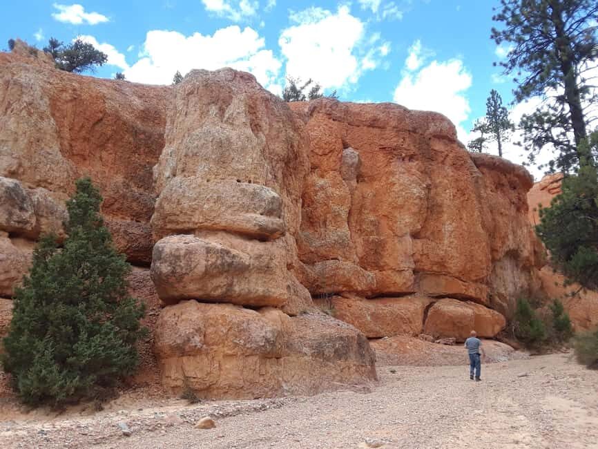 Small Group Tour Zion & Bryce Canyon National from Las Vegas - The Van Ride Through Utah: Scenic Views Plus a Wildlife Pause