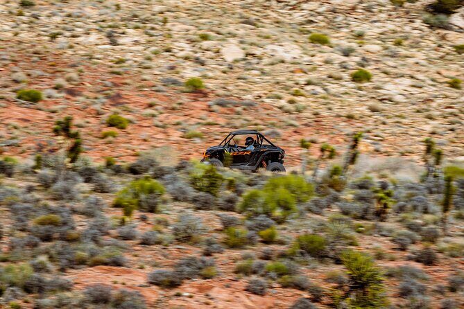 SXS Tour W/ A Stop at Pioneer Saloon Goodsprings in Las Vegas - Stop 2: Goodsprings and the Desert Roads Ahead