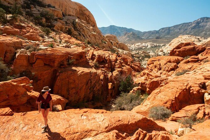 The Ultimate Red Rock Canyon Scenic Experience - Key highlights worth knowing