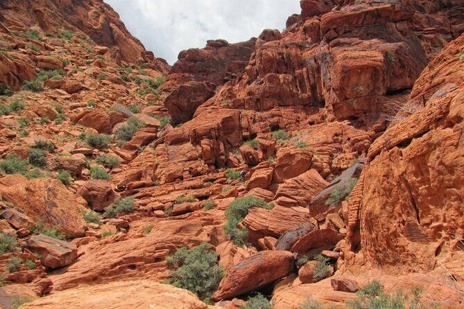 The Ultimate Red Rock Canyon Scenic Experience - What the guide actually adds (and why you’ll notice it)