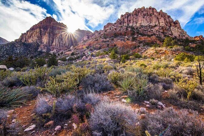The Ultimate Red Rock Canyon Scenic Experience - Who should book this tour (and who might not love it)