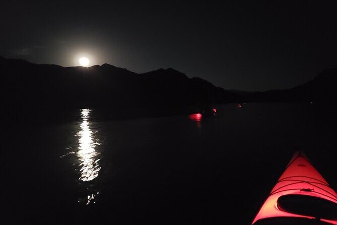 Twilight Black Canyon Kayak Tour with Bonfire Experience - Price and value: is $175 for a half-day river night fair?