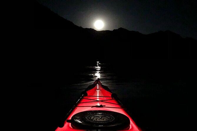 Twilight Black Canyon Kayak Tour with Bonfire Experience - Kayaking the Colorado River at dusk: what the first miles feel like