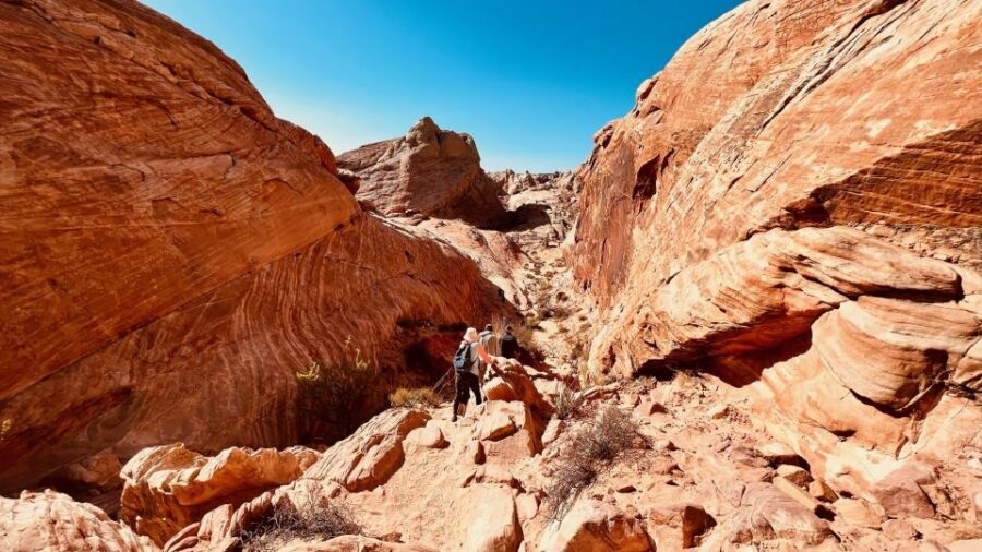 Valley of Fire VIP Small Group Tour From Las Vegas - Key things I’d bet on before you book