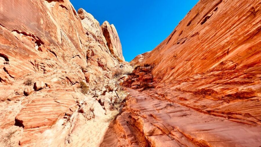 Valley of Fire VIP Small Group Tour From Las Vegas - Fire Wave: the rock layers that practically do the coloring for you