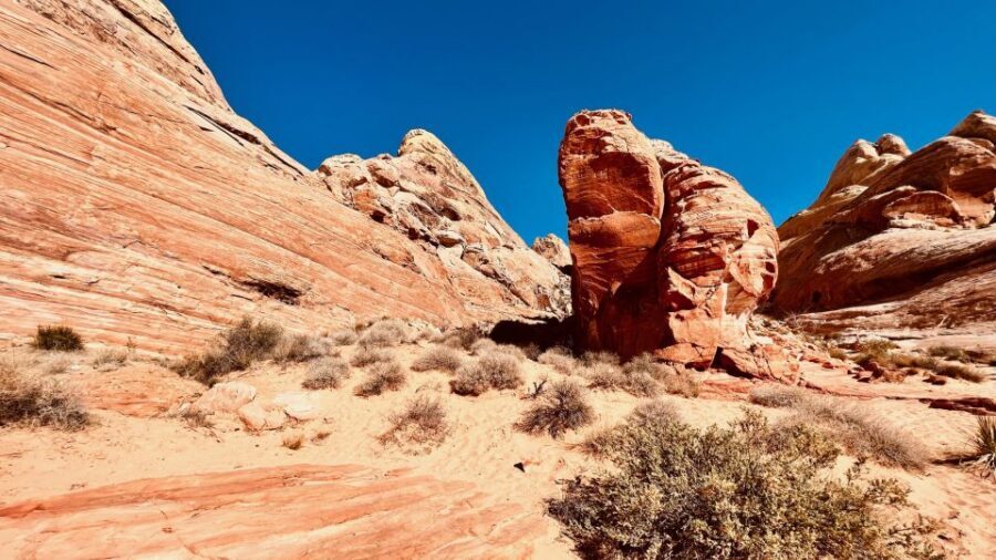 Valley of Fire VIP Small Group Tour From Las Vegas - Elephant Rock and the other icons: short walks, big payoffs