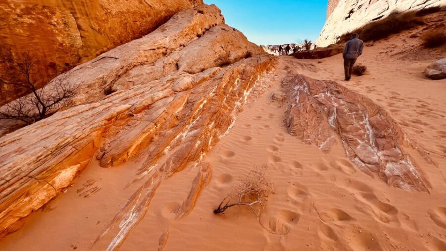 Valley of Fire VIP Small Group Tour From Las Vegas - Visitor Center break time: what to do in the pause