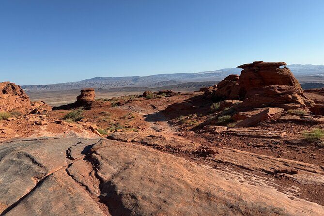 Warner Valley Dinosaur Track Site 4x4 Tour - The 0.5-mile dinosaur track hike: what to plan for