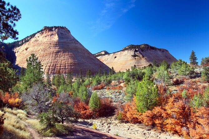 Zion and Bryce Canyon National Parks Self-Driving Bundle Tour - Who This Bundle Fits Best (and Who Might Want Something Else)