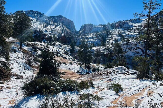 Zion National Park Hiking Tour from Las Vegas Small Group Max 14 - Wildlife and birds: yes, you can actually spot them