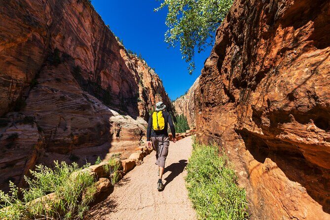 Zion National Park Self-Guided Driving & Shuttling Tour - Court of the Patriarchs: The Three Peaks and the Name Game