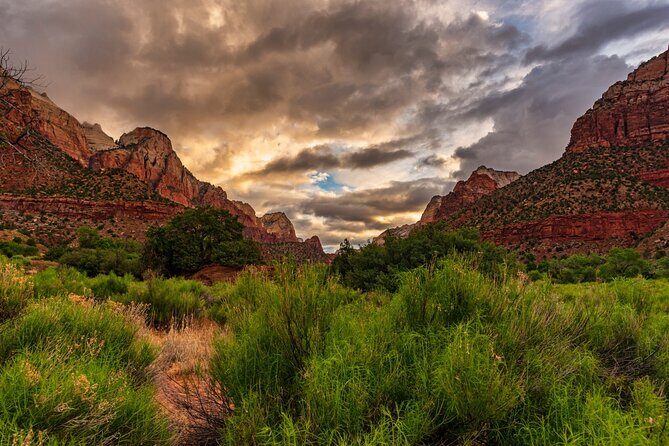 Zion National Park Self-Guided Driving & Shuttling Tour - Emerald Pools: A Stop That Cares About Your Body